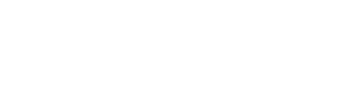 Anne Nova logo in wit