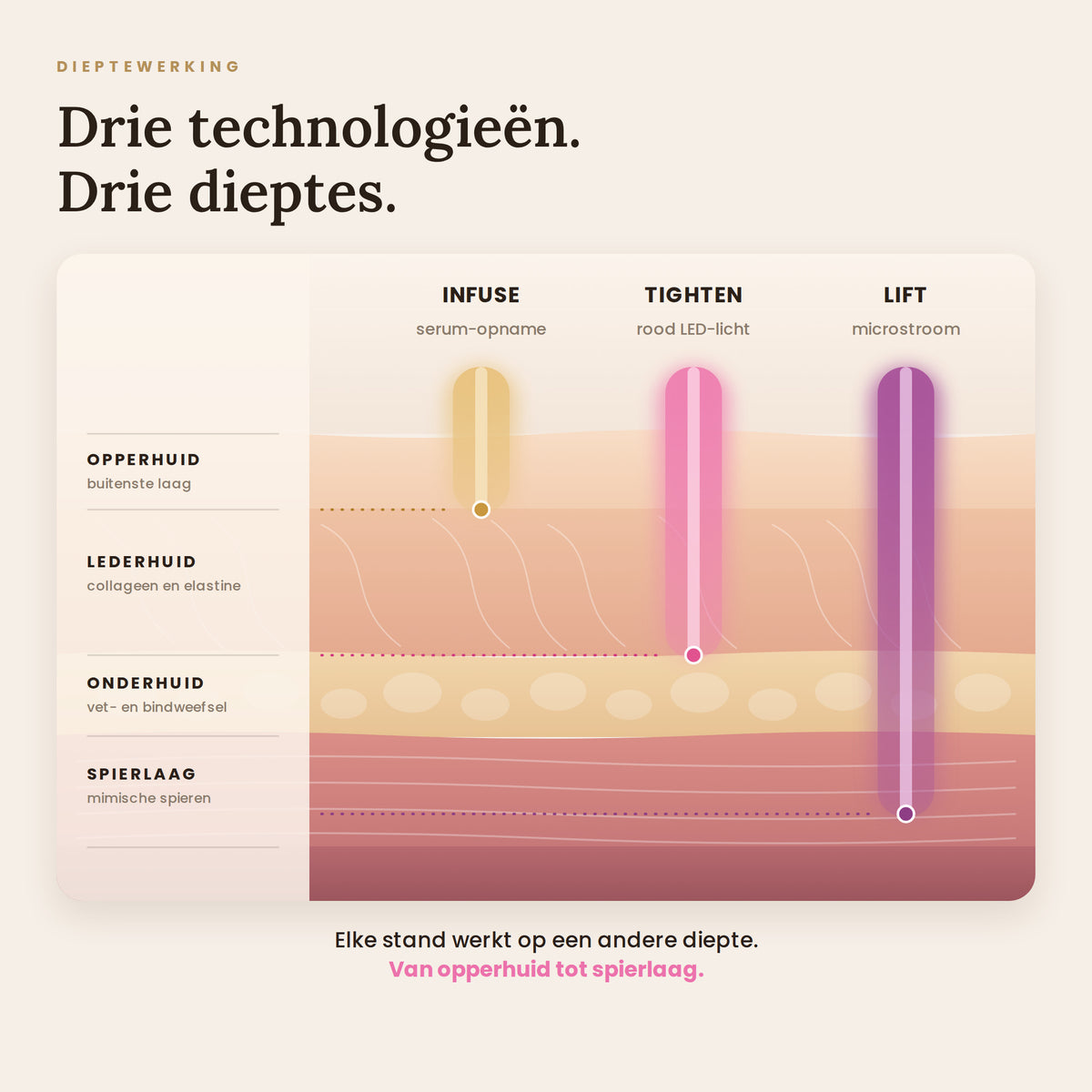 Dieptewerking: infuse werkt in de opperhuid, tighten in de lederhuid en lift tot in de spierlaag